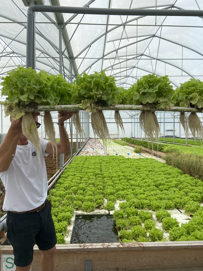 Visite ferme aquaponique urbaine 