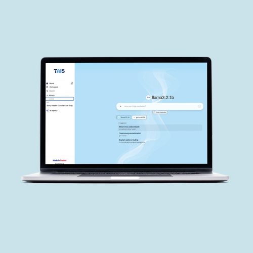 Torus_Solution2 Délégation d'expertise en développement : Le cas d'usage Torus AI