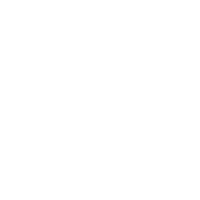 Torus Ai